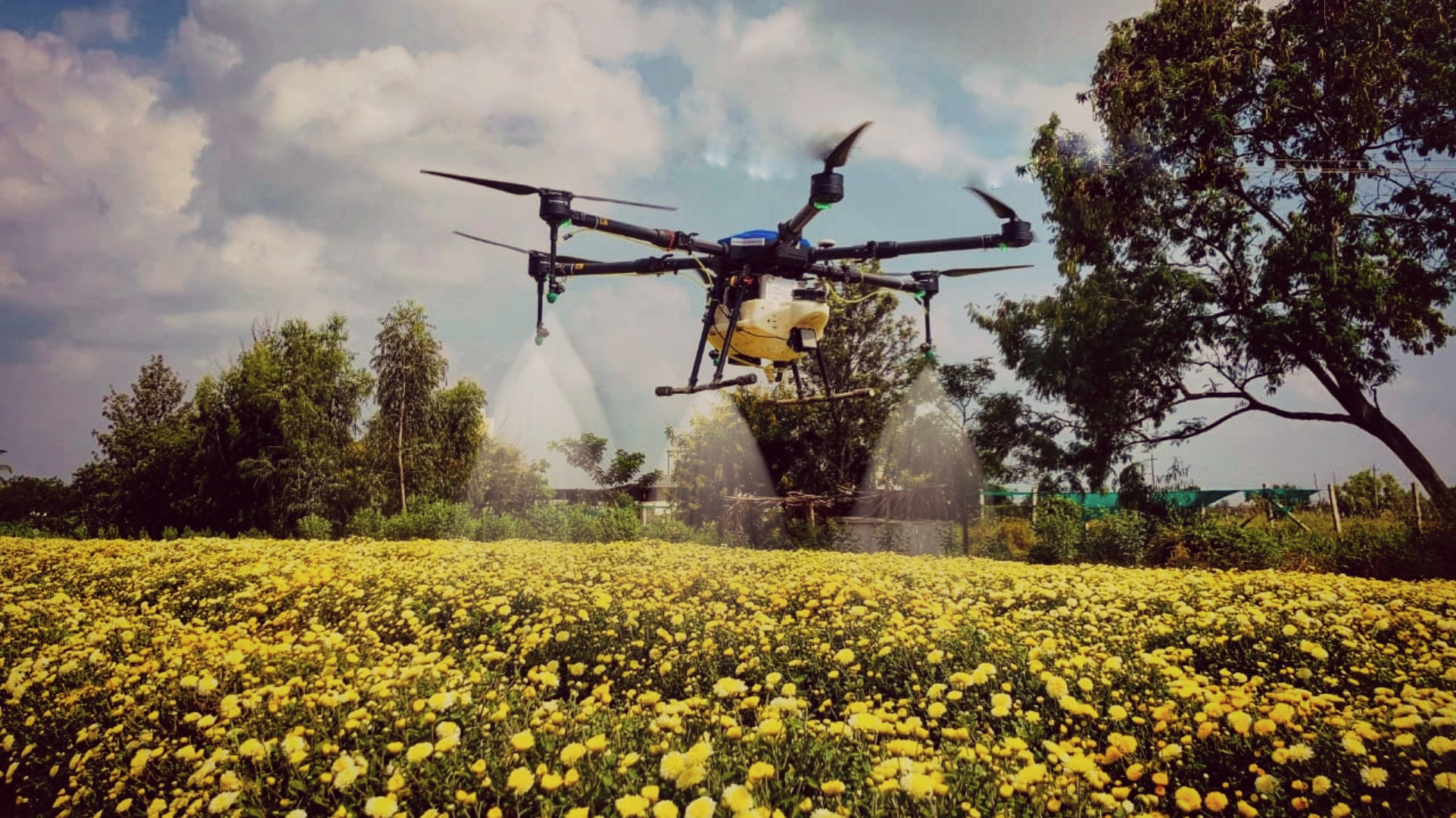 Drone for agriculture