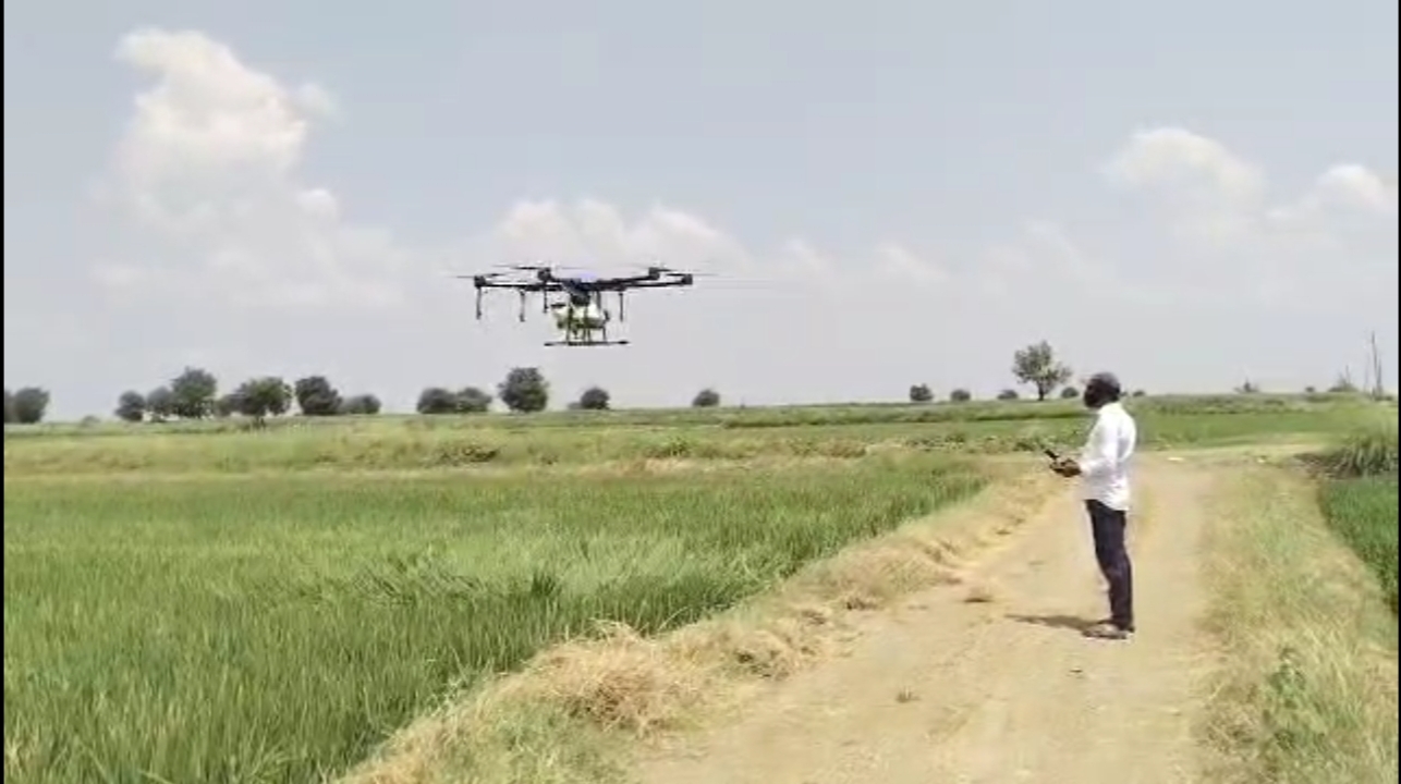 Farmer Success Story